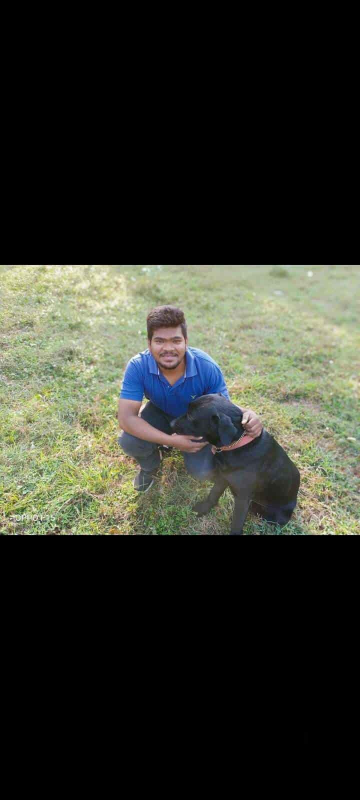 Top Dog Grooming in Visakhapatnam Best Dog Parlours Justdial