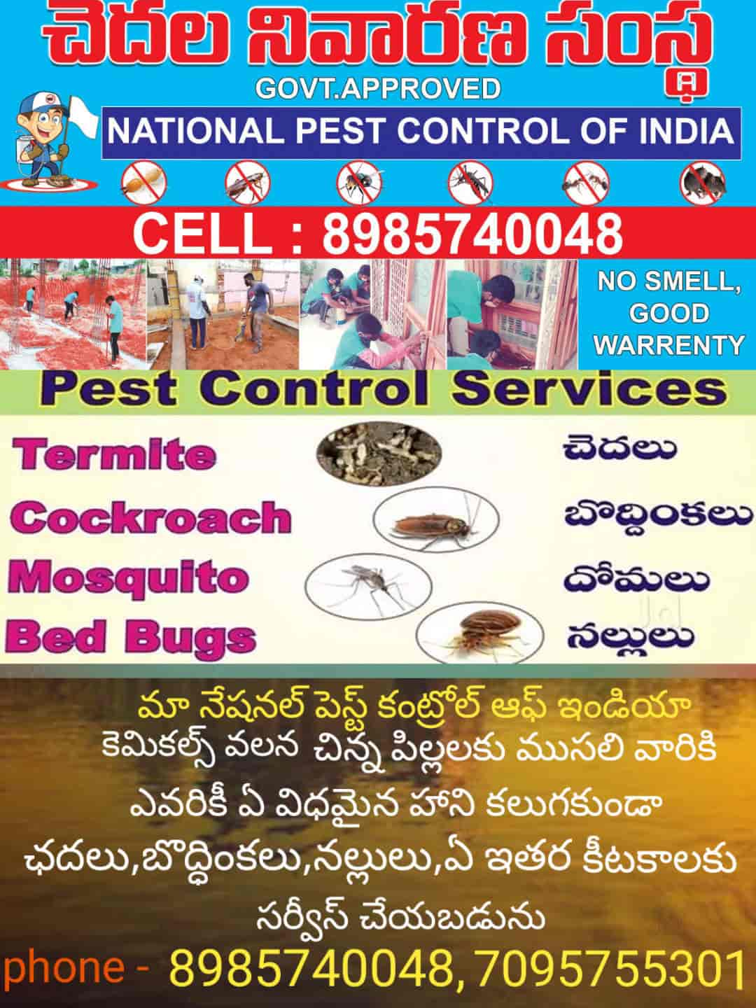 Top 100 Pest Control Services in Visakhapatnam Best Residential Pest