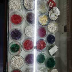 Manchukonda Gems 2024 www.epicamlv