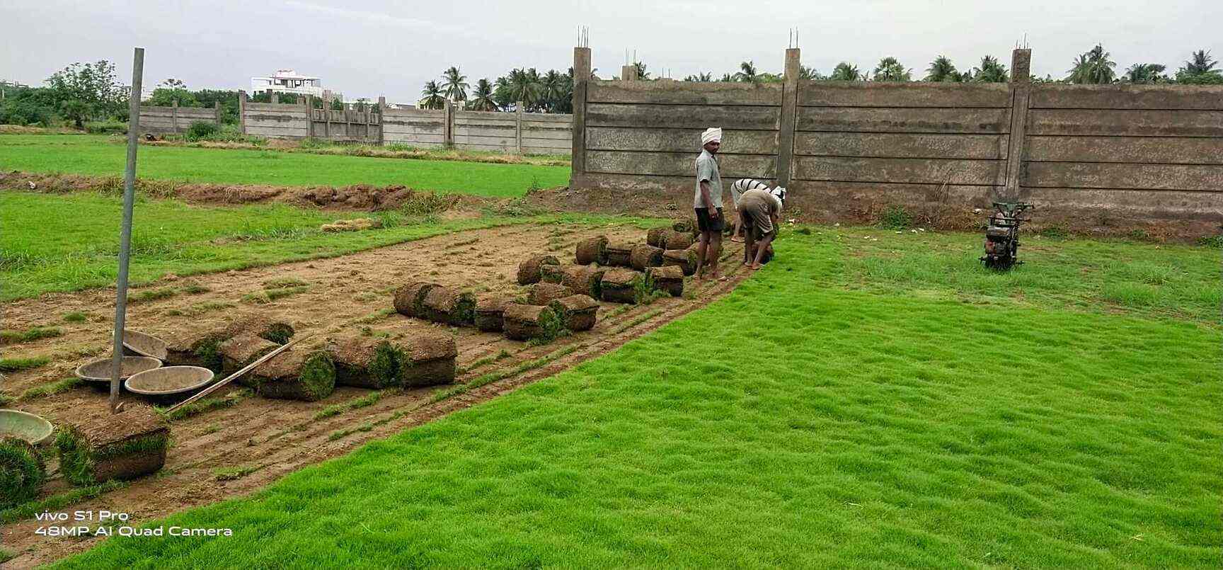 Top 30 Vertical Landscape Gardening Services in Visakhapatnam Best