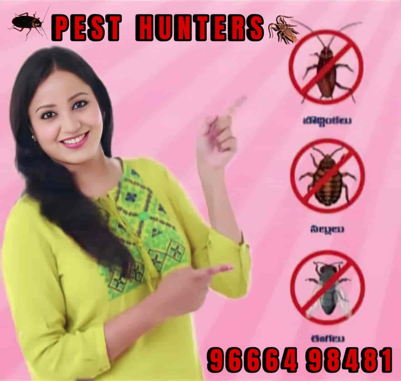 Top Pest Control Services in Visakhapatnam Best Residential Pest