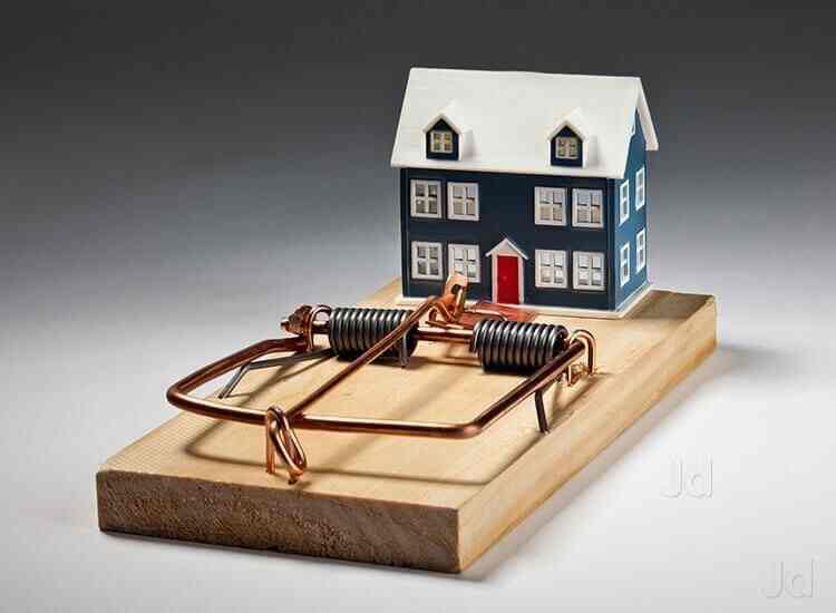 Quality Fumigation And Pest Control Services in Visakhapatnam