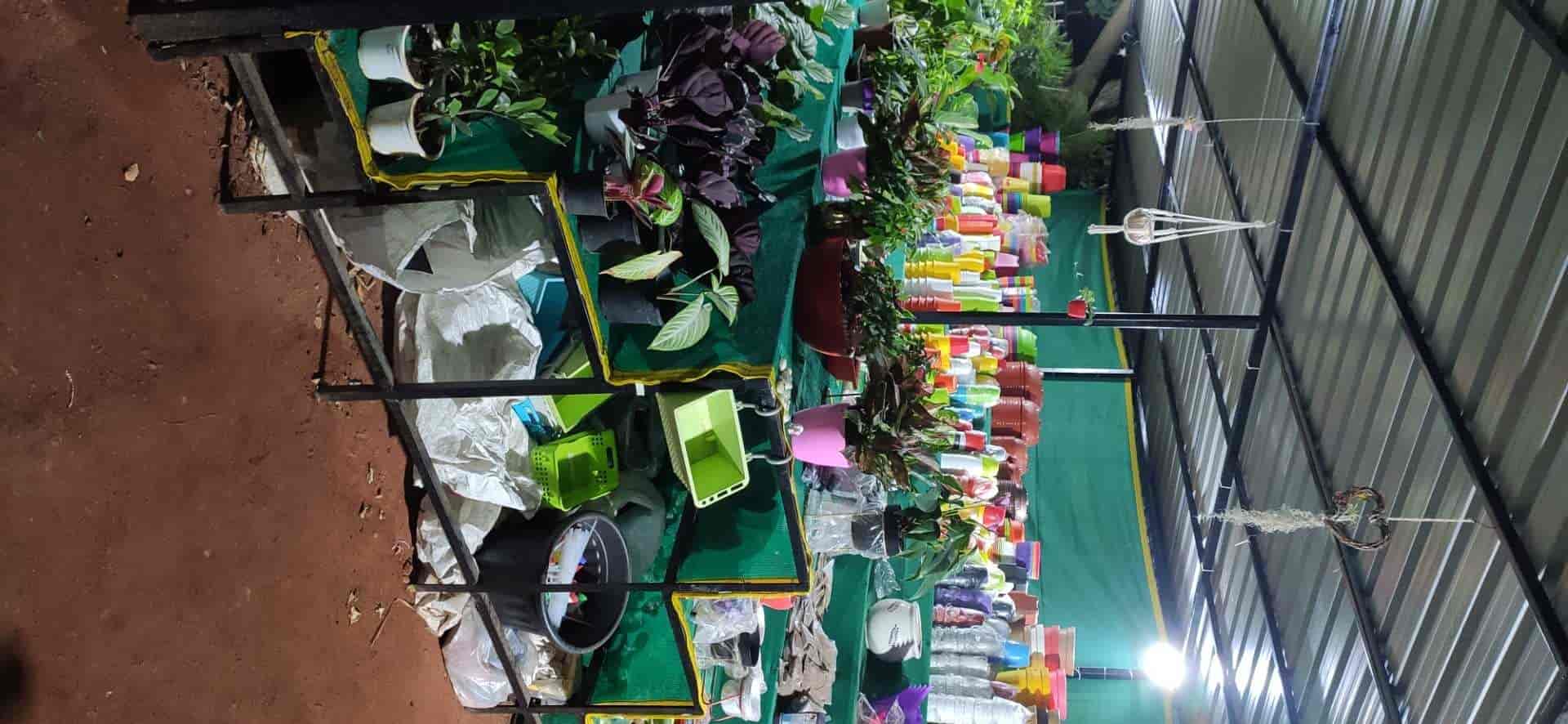 Top Plant Nurseries in Ravada Anakapalle,Visakhapatnam Best