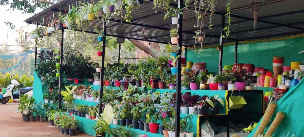 Top Plant Nurseries in Ravada Anakapalle,Visakhapatnam Best