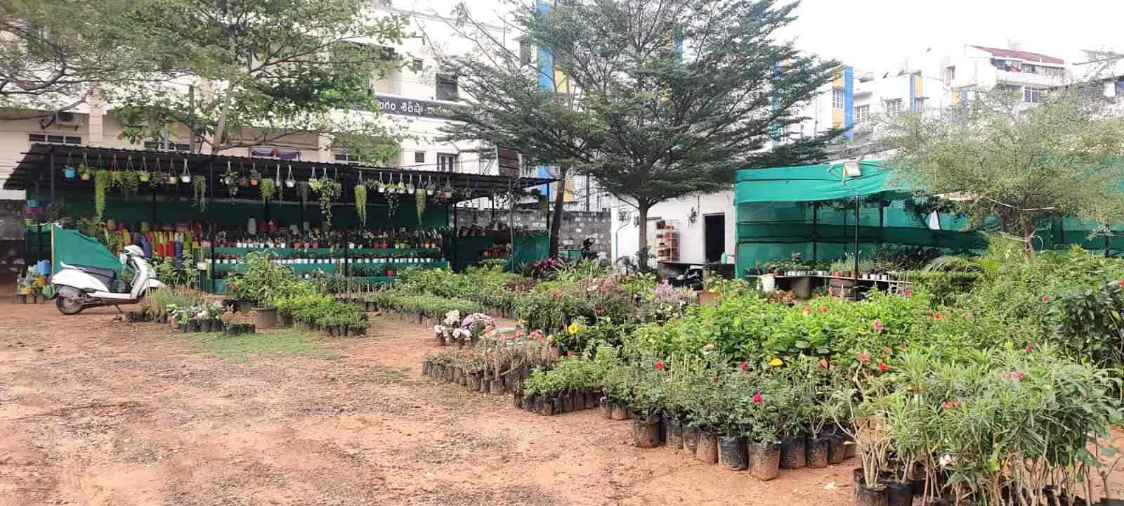 Top Plant Nurseries in Ravada Anakapalle,Visakhapatnam Best