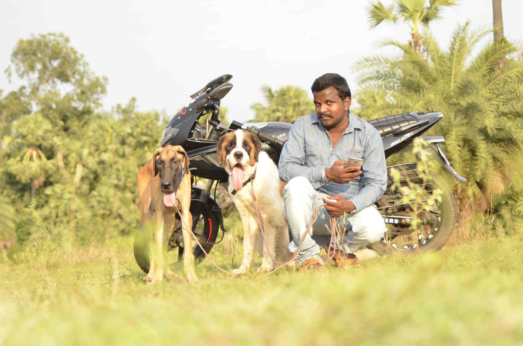 Happy Kennal Pet Zone, Gajuwaka Pet Shops For Dog in Visakhapatnam