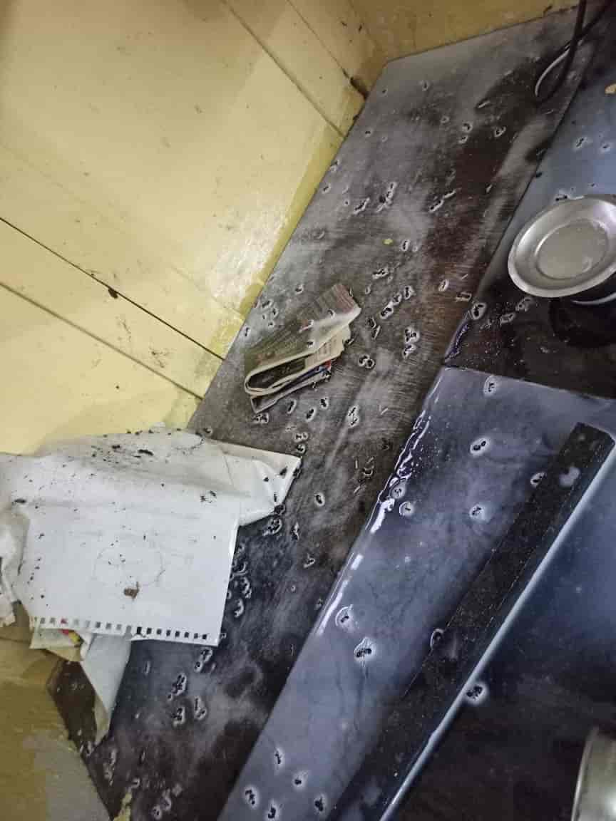 Top Pest Control Services in Visakhapatnam Best Residential Pest