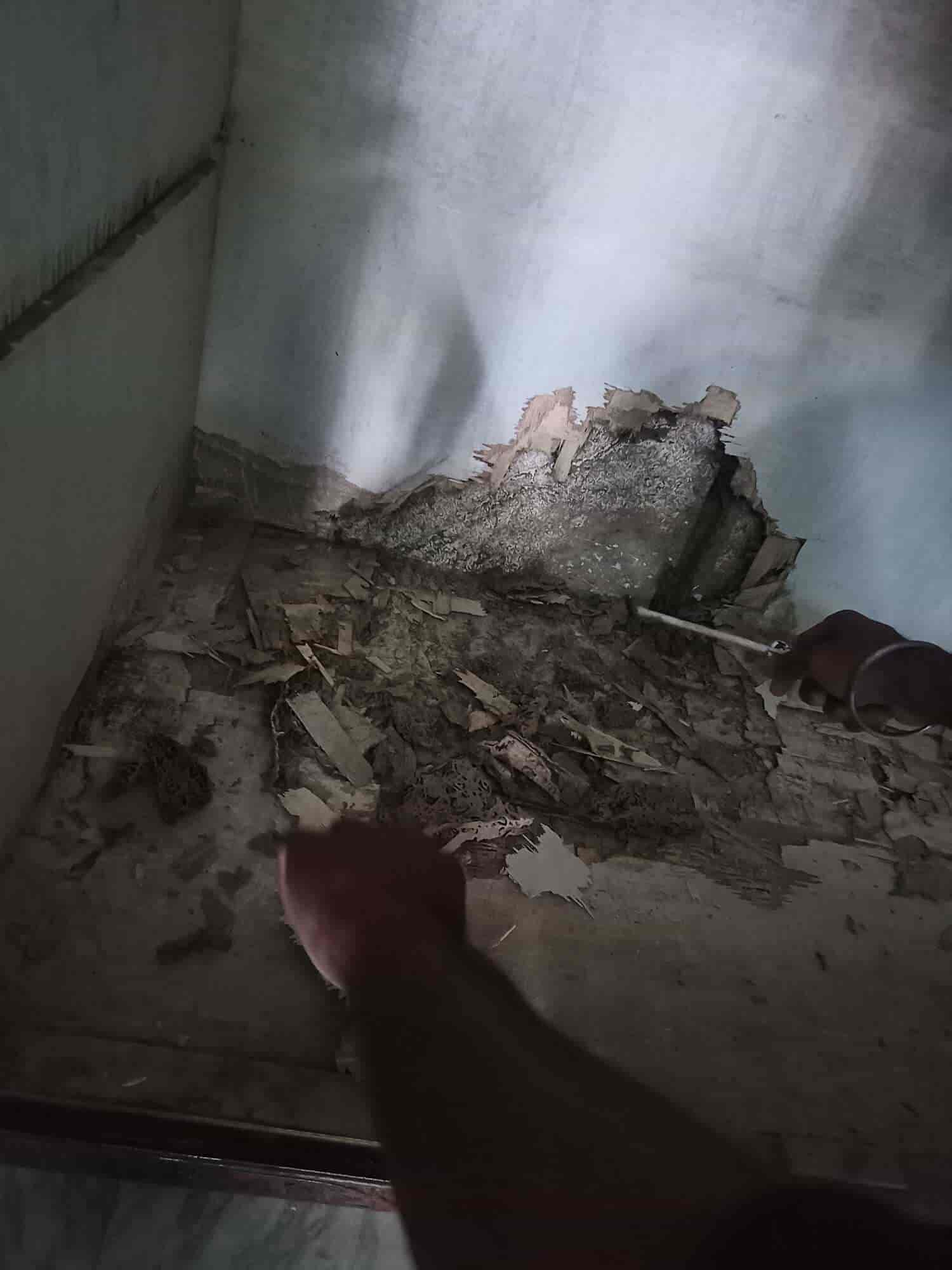 Top Pest Control Services in Visakhapatnam Best Residential Pest