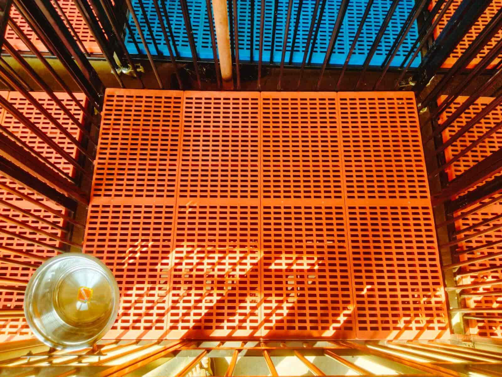 Top Dog Grooming in Visakhapatnam Best Dog Parlours Justdial