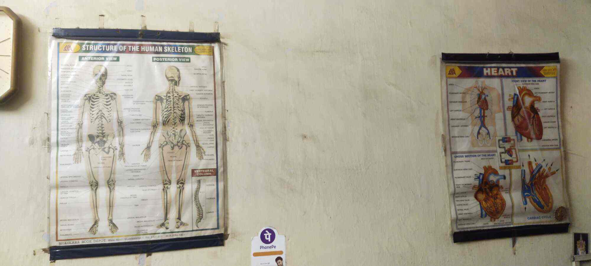 Steel City Lab in Gajuwaka,Visakhapatnam Best Diagnostic Centres in