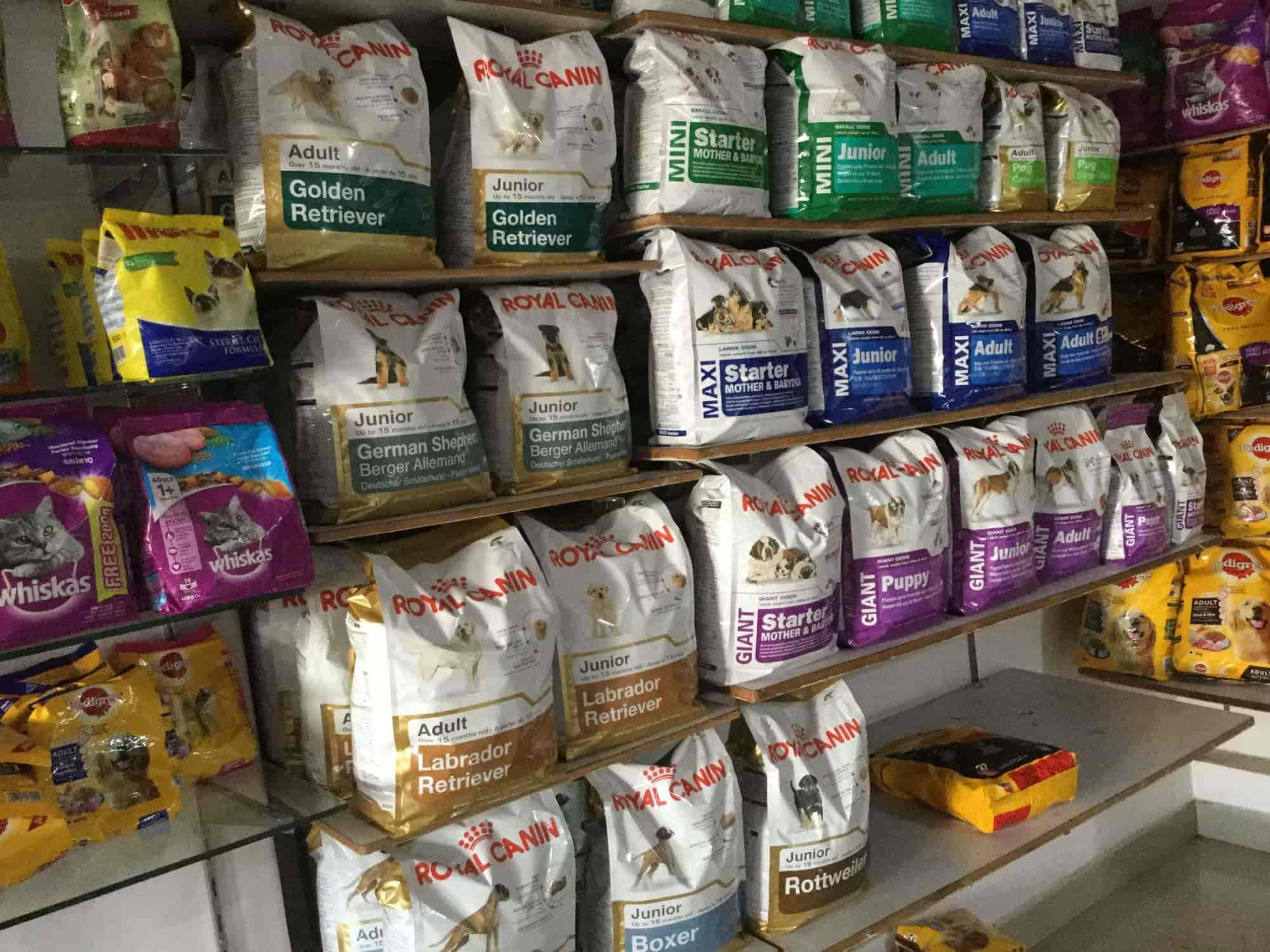 Marshals Pet Zone in Gajuwaka,Visakhapatnam Best Pet Shops For Birds