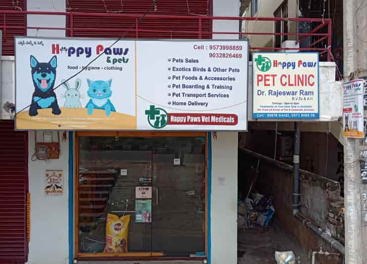 Paws pet outlet food elbow drive