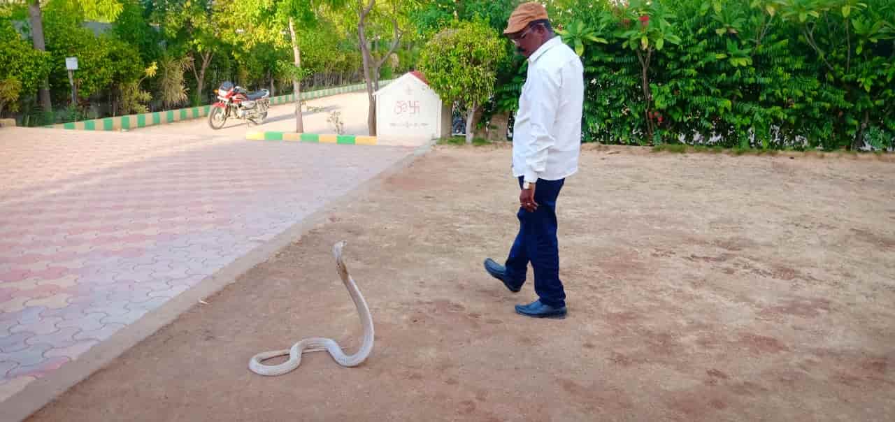 Top Snake Catcher Stick Dealers in Nizamabad स्नेक कैचर स्टिक डीलर्स