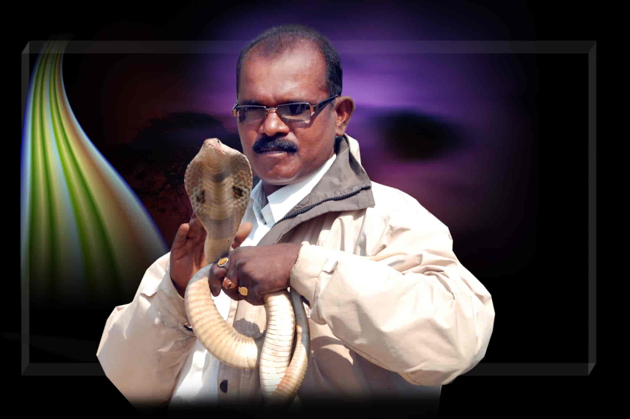 Top Snake Catcher Stick Dealers in Nizamabad स्नेक कैचर स्टिक डीलर्स