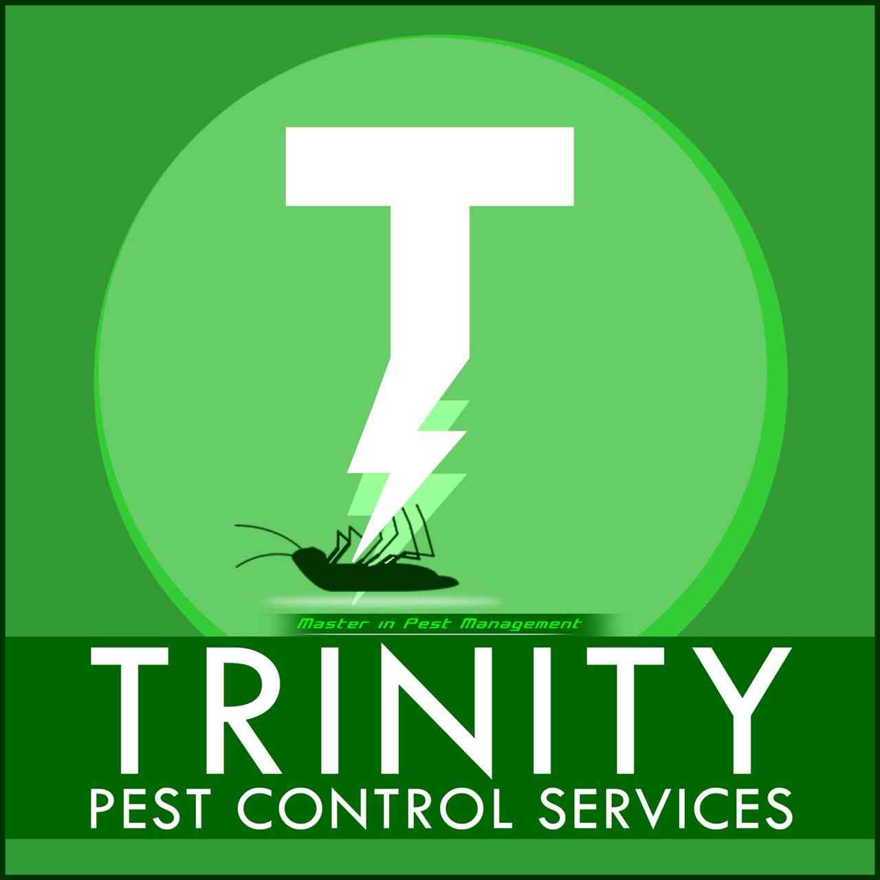 Trinity Pest Control Services in M G Road,Warangal Best Pest Control