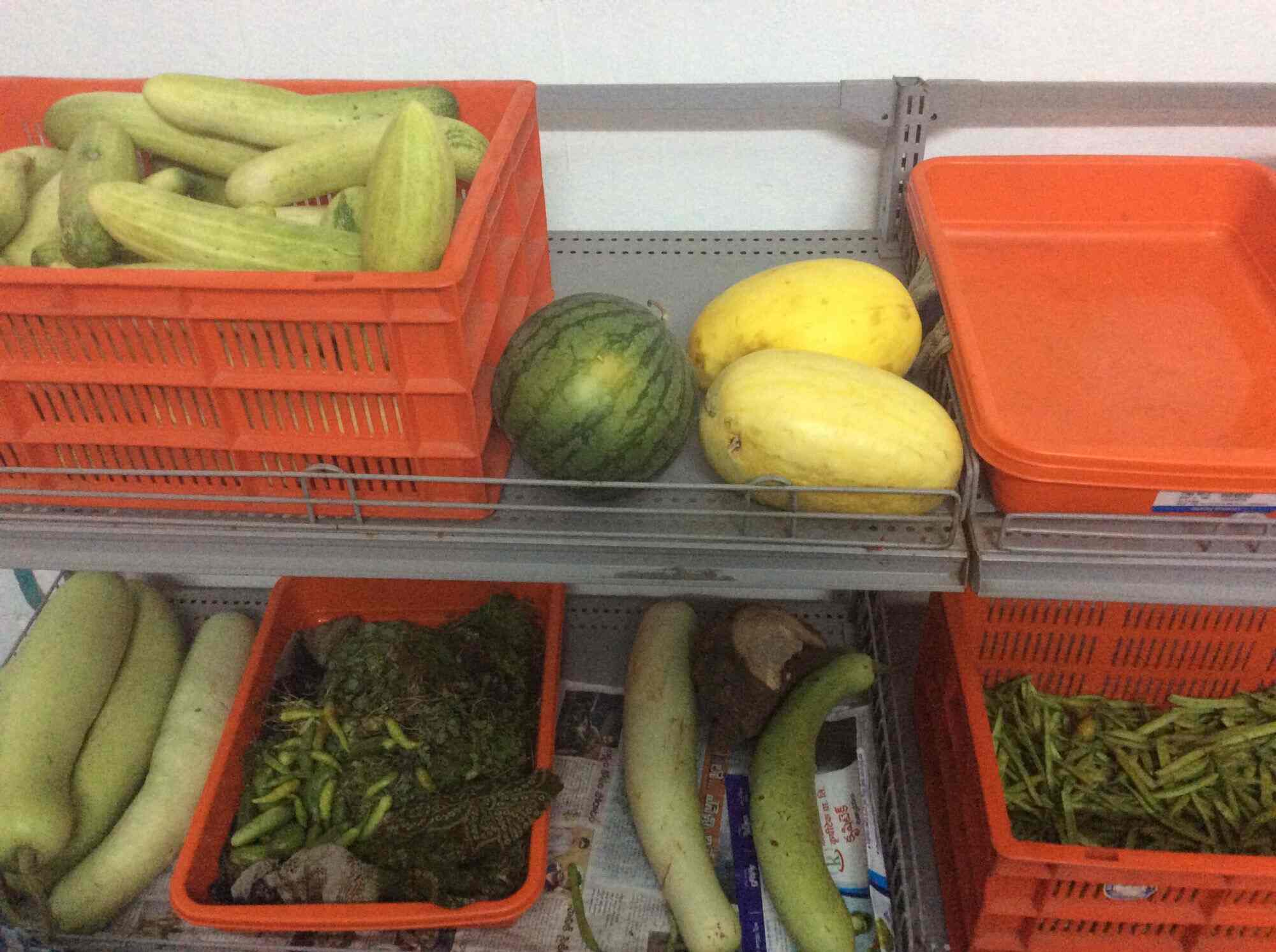 Top Celery Wholesalers in Meenavolu Best Celery Leaves Wholesalers