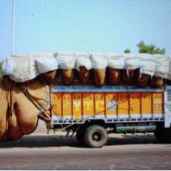Goods Transport Agency in Ganesh Nagar, Wardha Goods Transport Agency in Ganesh Nagar, Wardha