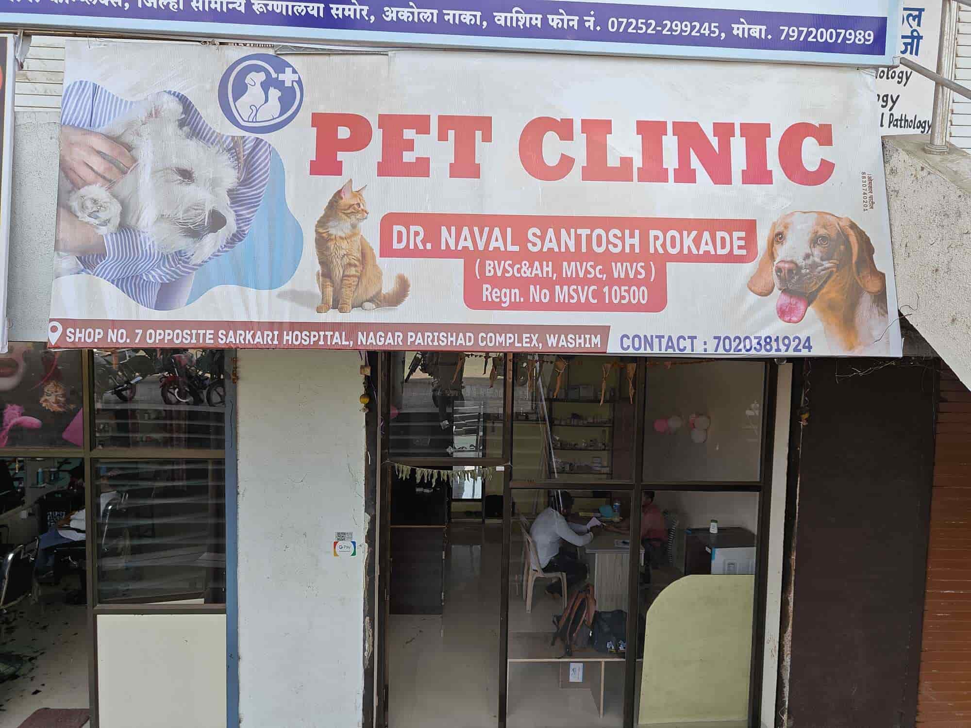 Veterinary Practice Pet Veterinary Clinic Near Me Veterinary Practice  Closest Vca Animal Hospital Los Angeles Vca