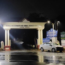 Kerala Veterinary & Animal Sciences University in Lakkidi - Best Colleges in Wayanad - Justdial Kerala Veterinary & Animal Sciences University in Lakkidi - Best Colleges in Wayanad - Justdial