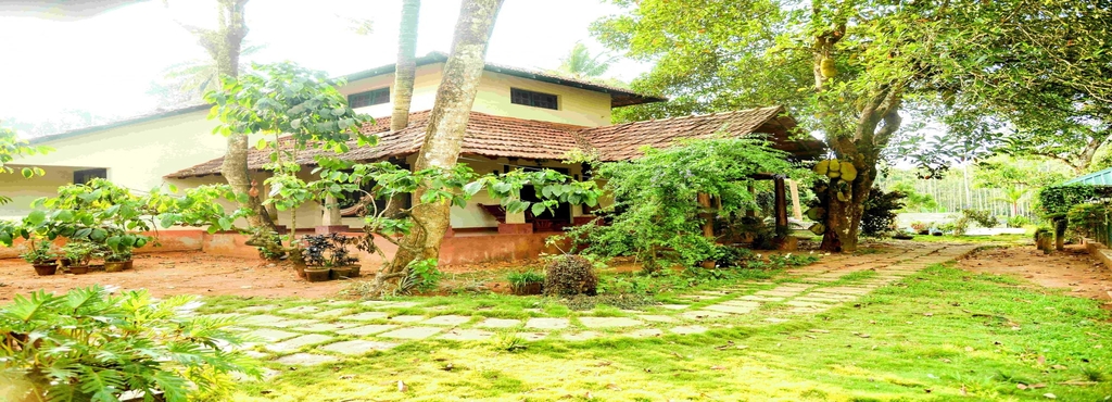 Oyo Homes 038 Chundale Hotels In Wayanad Justdial Oyo Homes 038