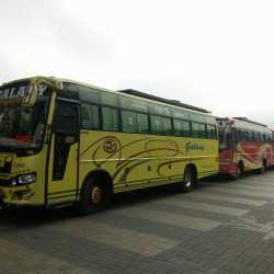 Rajasthan Travels Made Simple - Even Your Kids Can Do It