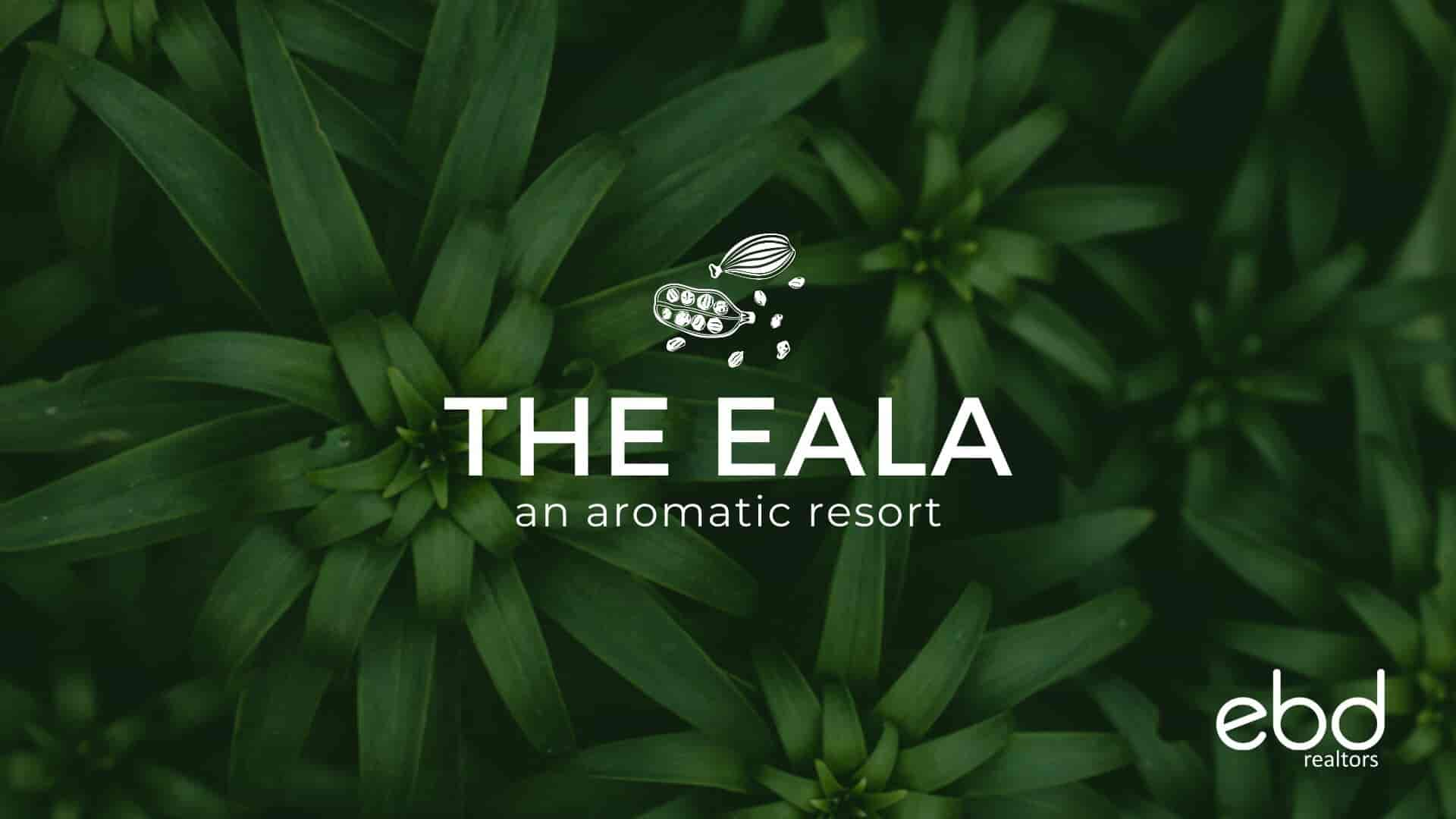 Book The Eala in Vallarmala,Wayanad - Best Resorts in Wayanad - Justdial