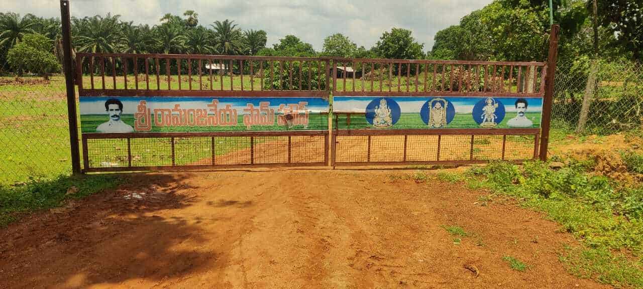 Top Farm House On Rent in Eluru Best Farmhouse Rental Services near