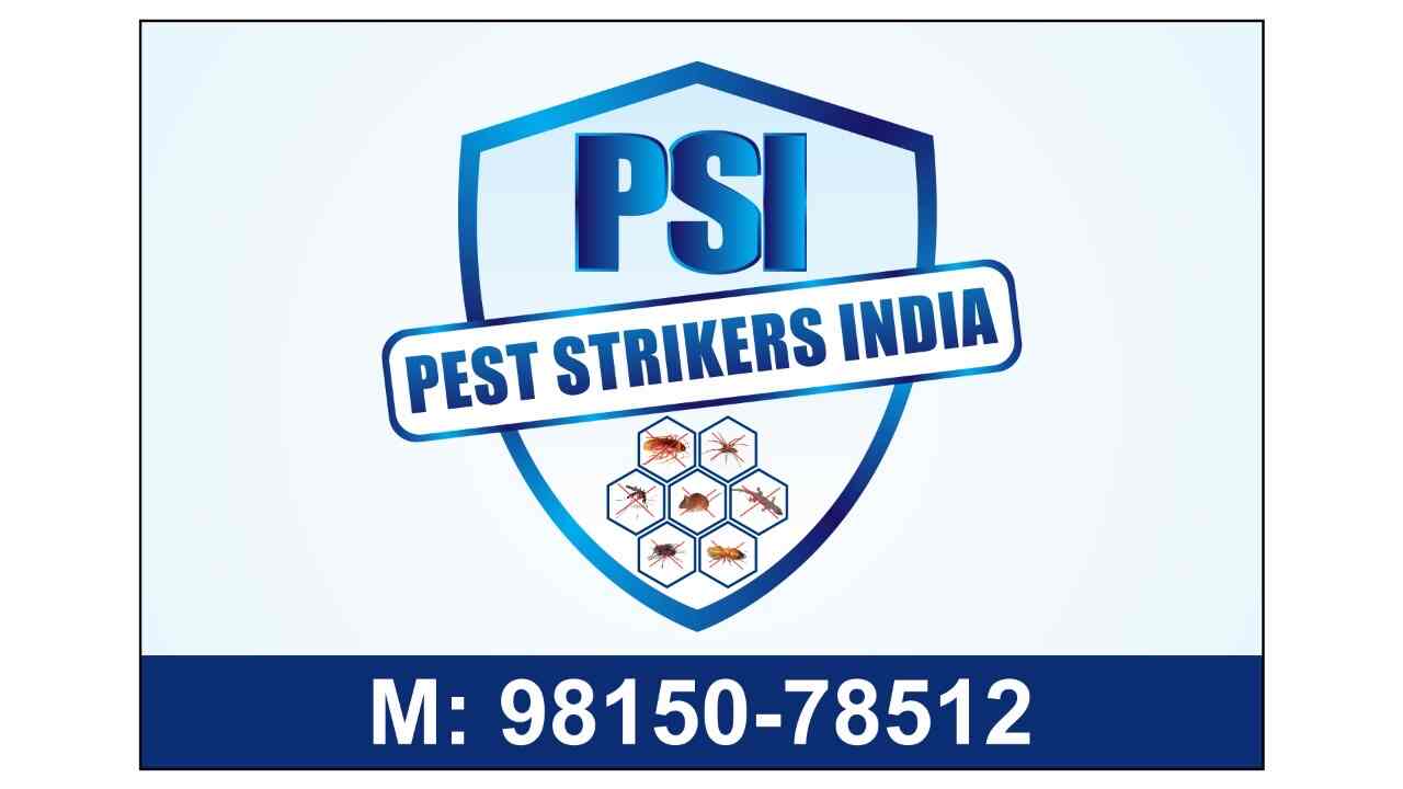 Top Bird Netting Services in Patiala Best Bird Net Installation