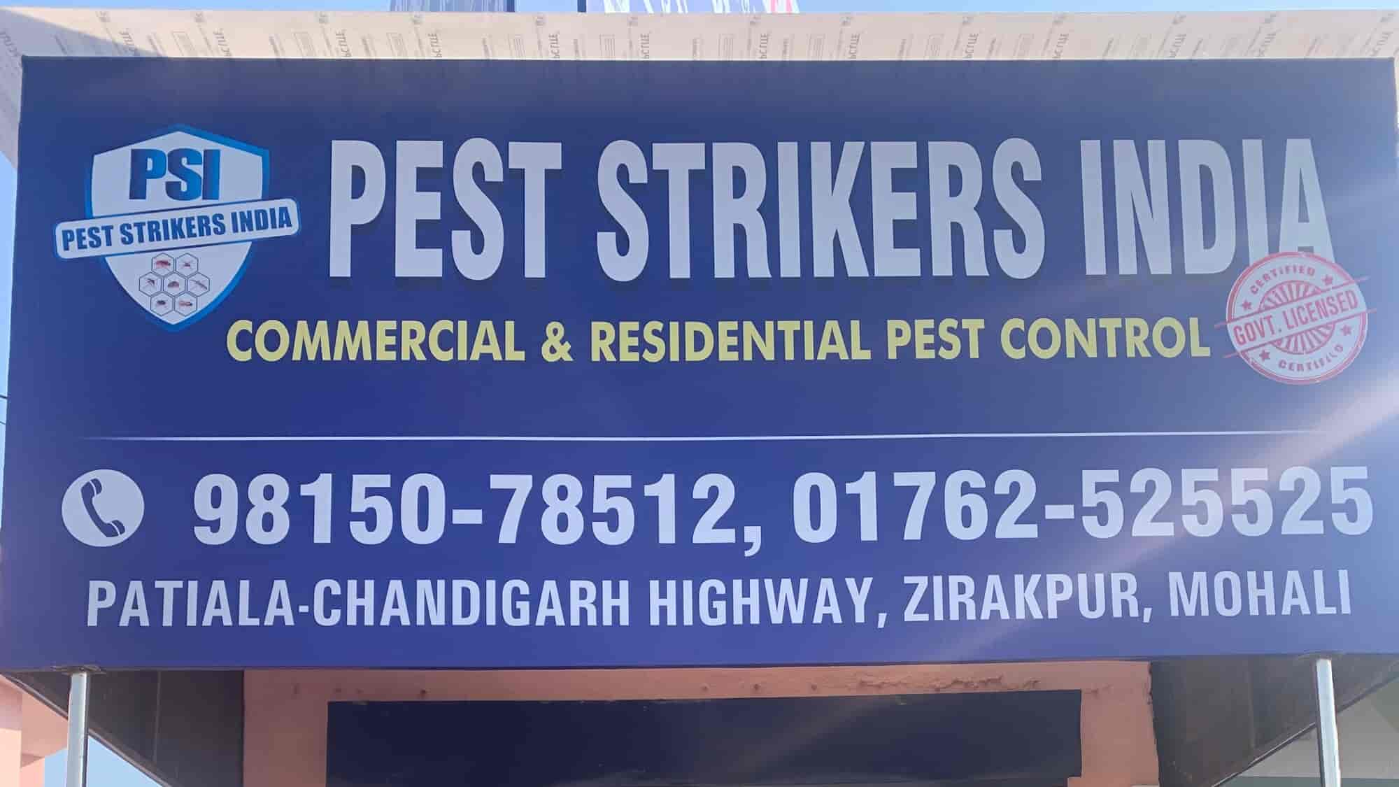 Top Bird Netting Services in Patiala Best Bird Net Installation