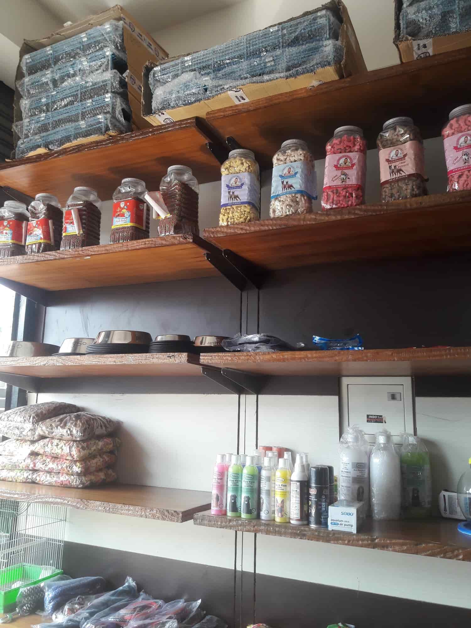 Top Pet Shops For Dog in Derabassi,Zirakpur Best Pet Supplies Store near me Justdial