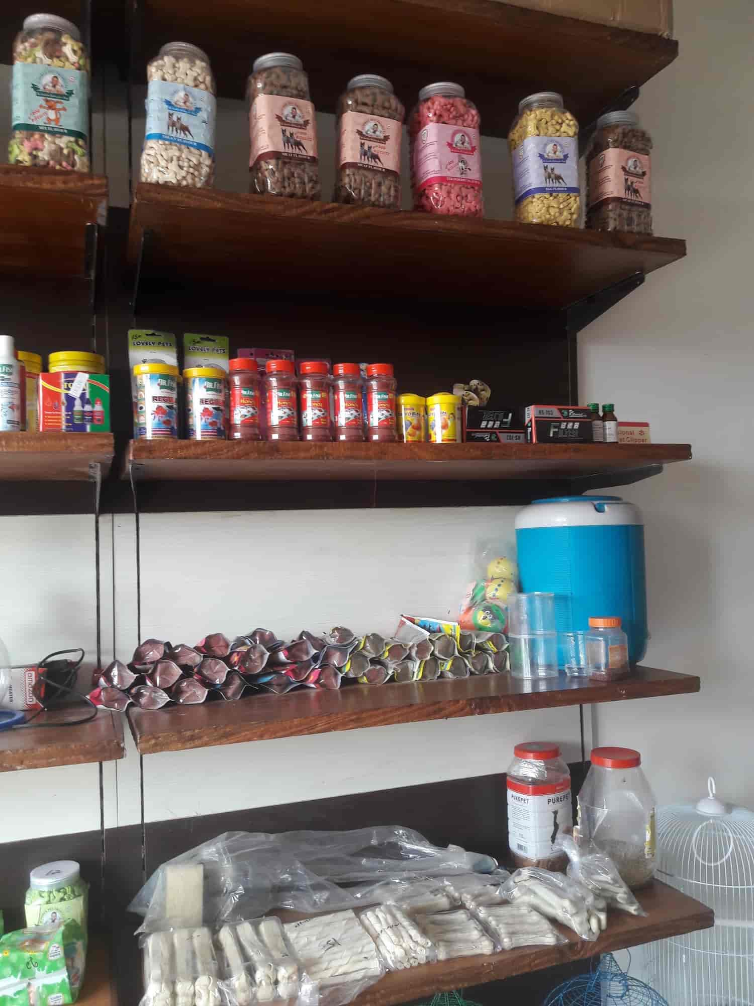 Top Pet Shops For Dog in Derabassi,Zirakpur Best Pet Supplies Store near me Justdial