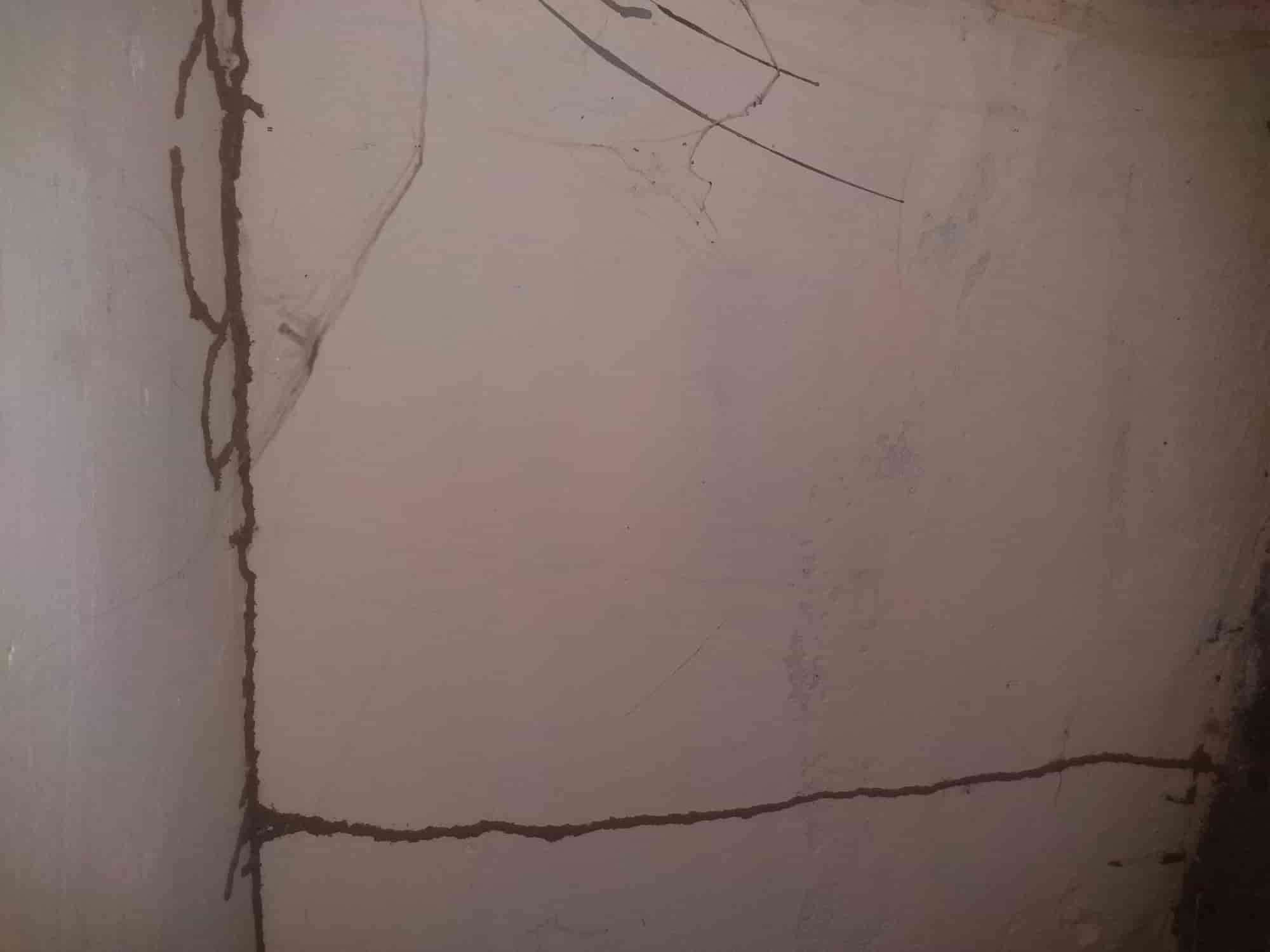 HiTech Services, Derabassi Pest Control Services in Zirakpur