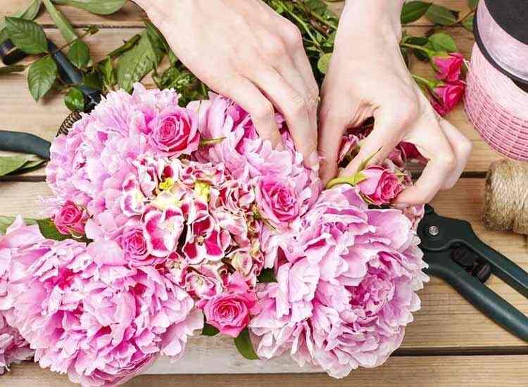 Top 30 Florists In Ambala Cantt Best Flower Delivery Services Justdial