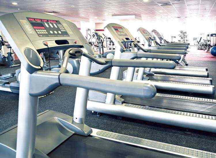 Dynasport Fitness Equipment in Chandigarh Sector 9,Chandigarh Best