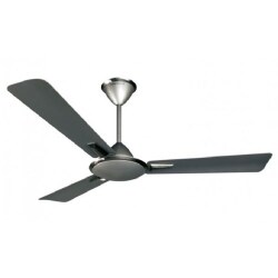 Ceiling Fan Pedestal Fan Wall Mount Fan Table Fan Almonard