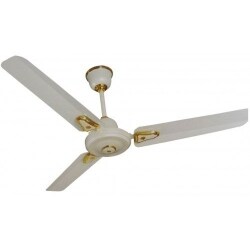 Ceiling Fan Pedestal Fan Wall Mount Fan Table Fan