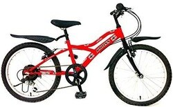 kross globate 1.1 price