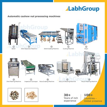 Cashew Nut Grading Machine - Efficient, Reliable & High-Performance ...