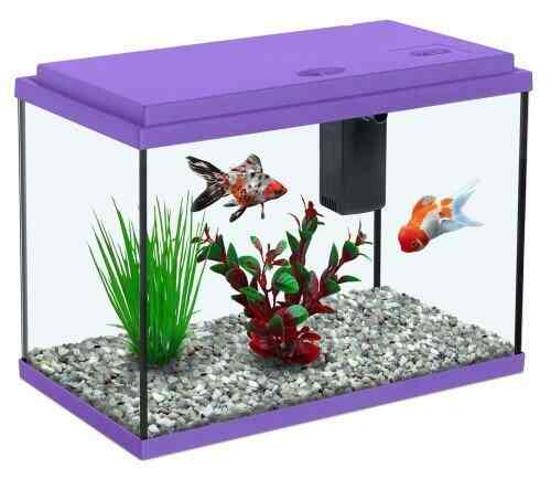 fish tank cost