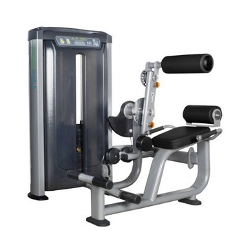 Back Exercise Machine - Ergonomic, Durable, Effective - Justdial Verified