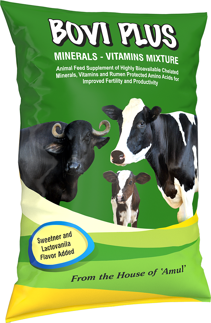 Amul Bovi Plus Cattle Feed Get Best Price from Manufacturers