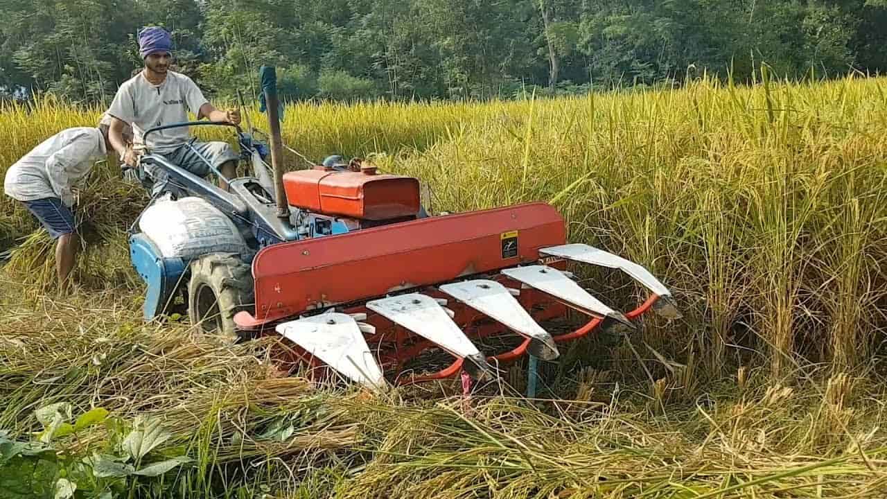 Rice Cutting Machine Price Starting From Rs 1.25 L Pc. Find Verified Sellers in Hyderabad JdMart