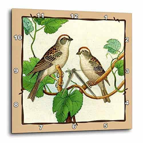 3dRose DPP/_39035/_2 Framed Tan /& Brown Birds in Tree Wall Clock 13 by 13