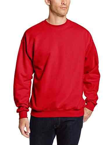 hanes men's ecosmart fleece sweatshirt