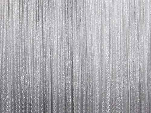 10ft 12ft Sparkly Silver Shimmer Sequin Fabric Photography
