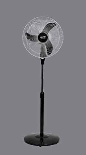 Buy Oscar Speedo Metal 16 High Speed 2100 Rpm Pedestal Fan With Oscillation And Metallic Finish Black Standard Features Price Reviews Online In India Justdial