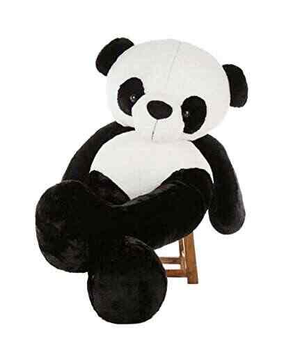 cute black teddy bear