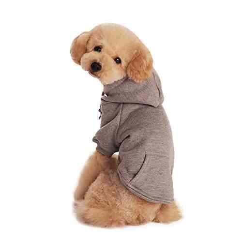 small dog outfits