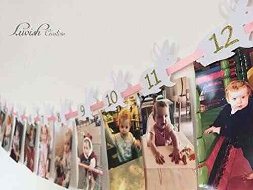 Luvish Creation Birthday Photo Banner Bunnies First Birthday
