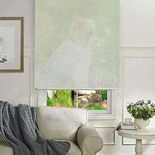 Buy Kayra Decor Soft Blackout Fabric Customized Window Roller